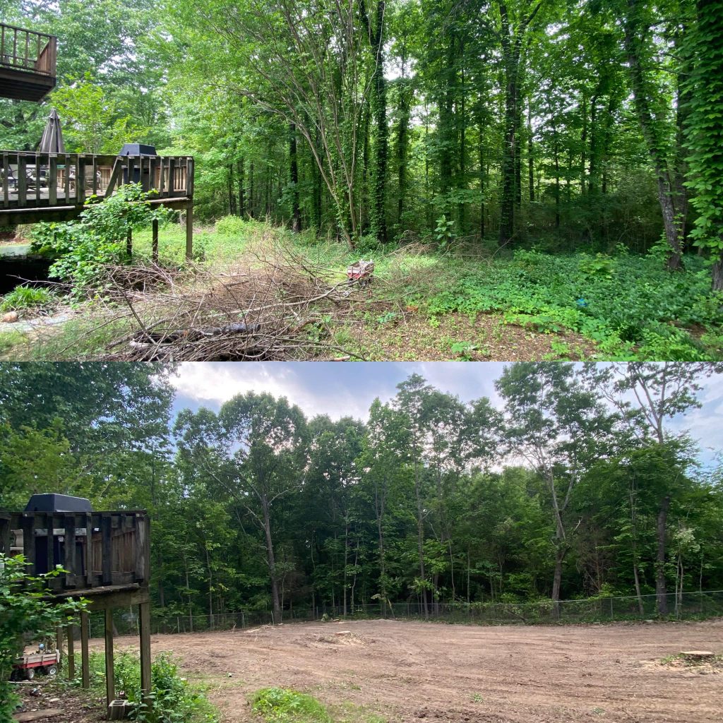 before and after land clearing services